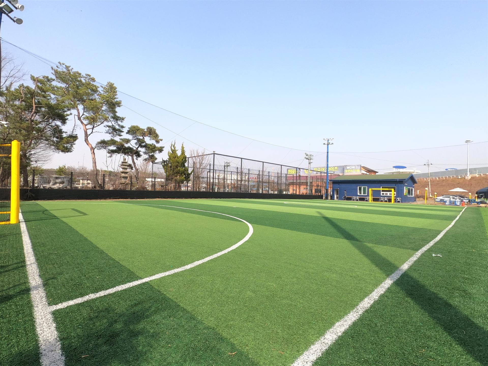 고양 쌈바 풋볼파크