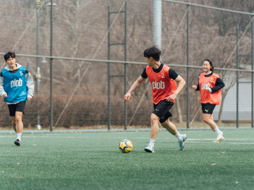 기본 구장 이미지